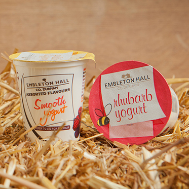 Dairy Products - Flavoured Natural Yoghurt